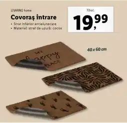Lidl Covoraș intrare Ofertă