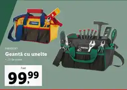Lidl Geantă cu unelte Ofertă