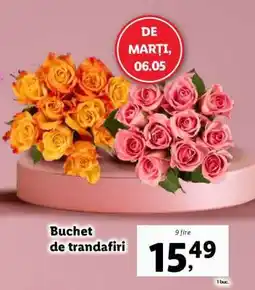 Lidl Buchet de trandafiri Ofertă