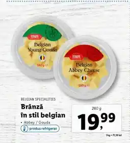 Lidl Brânză în stil belgian Ofertă