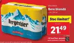 Lidl BERGENBIER Bere blondă Ofertă