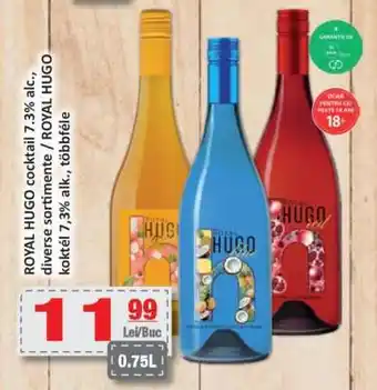 CBA ROYAL HUGO cocktail Ofertă