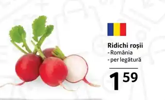 Selgros Ridichi roșii Ofertă