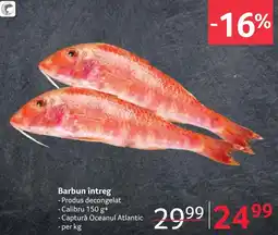 Selgros Barbun întreg Ofertă