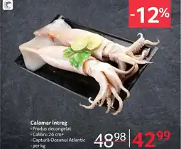Selgros Calamar întreg Ofertă