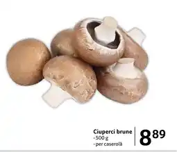 Selgros Ciuperci brune Ofertă