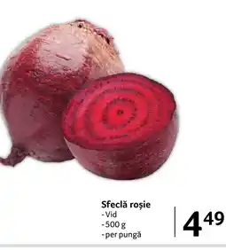Selgros Sfeclă roșie Ofertă