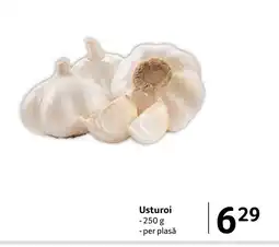Selgros Usturoi Ofertă