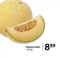Selgros Pepene Galia Ofertă