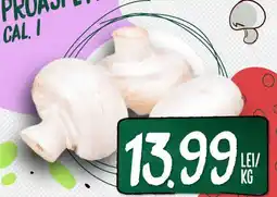 Diana Supermarket Ciuperci Champignon Ofertă