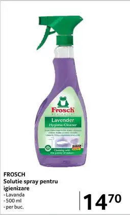 Selgros FROSCH Solutie spray pentru igienizare Ofertă