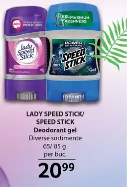 Selgros LADY SPEED STICK/ SPEED STICK Deodorant gel Ofertă