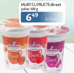 Unicarm Iaurt cu fructe div sort pahar Ofertă