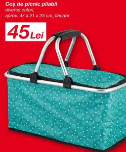 Kik Coş de picnic pliabil Ofertă