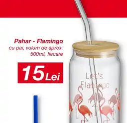 Kik Pahar-Flamingo Ofertă