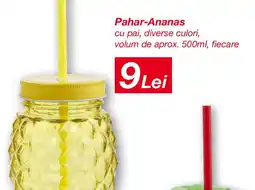 Kik Pahar-Ananas Ofertă