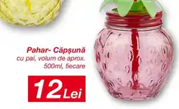 Kik Pahar- Căpşunǎ Ofertă