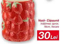 Kik Vază- Căpşunǎ Ofertă