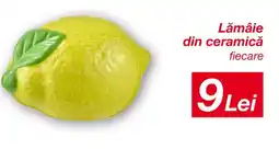 Kik Lămâie din ceramică fiecare Ofertă