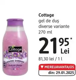 DM Cottage gel de duş Ofertă