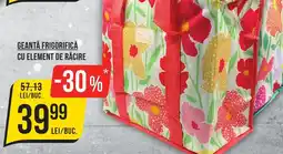 Mega Image Geantă frigorifică cu element de răcire Ofertă