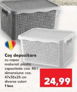 Kaufland Coș depozitare Ofertă