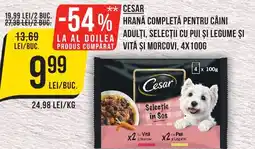 Mega Image CESAR Hrana completă pentru caini adulţi, selecții cu pui și legume şi produs cumparat vită și morcovi Ofertă