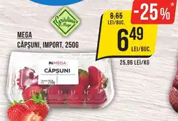 Mega Image MEGA Căpşuni, import Ofertă