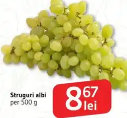 Supeco Struguri albi Ofertă