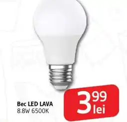 Supeco Bec LED LAVA Ofertă