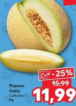 Kaufland Pepene Galia Ofertă