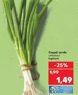 Kaufland Ceapă verde Ofertă