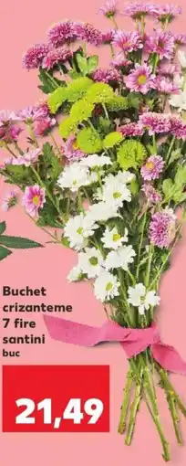 Kaufland Buchet crizanteme 7 fire santini Ofertă