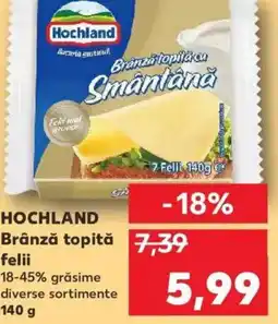 Kaufland HOCHLAND Brânză topită felii Ofertă