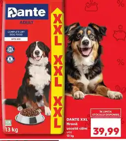 Kaufland DANTE XXL Hrană uscată câini vită Ofertă