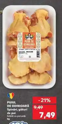 Kaufland PUIL DE ODINIOARĂ Ofertă