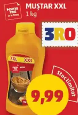 Penny Muştar xxl Ofertă