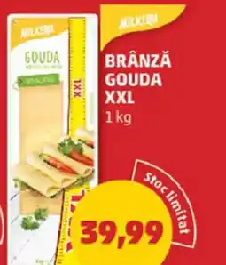 Penny Brânză gouda xxl Ofertă