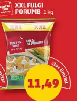 Penny Xxl fulgi porumb Ofertă