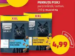 Penny Pernuțe pisici pui şi brânză / somon Ofertă