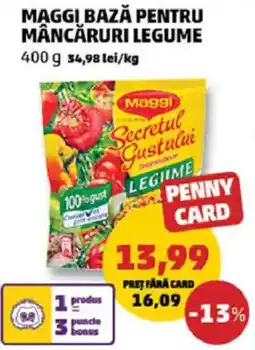 Penny Maggi bază pentru mâncăruri legume Ofertă
