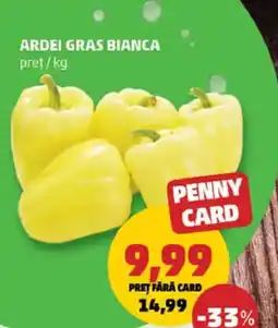 Penny Ardei gras bianca Ofertă