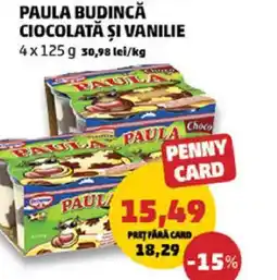 Penny Paula budincă ciocolată şi vanilie Ofertă