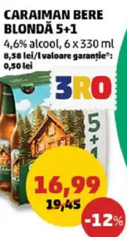 Penny Caraiman bere blondă 5+1 Ofertă