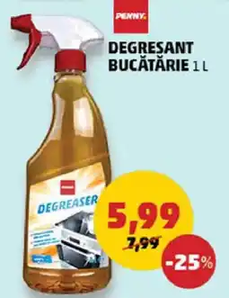 Penny Degresant bucătărie Ofertă