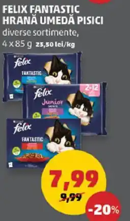 Penny Felix fantastic hrana umedă pisici Ofertă