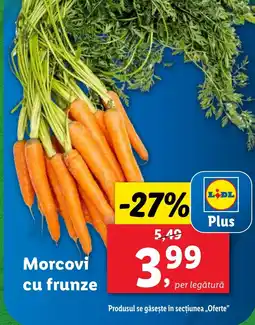 Lidl Morcovi cu frunze Ofertă
