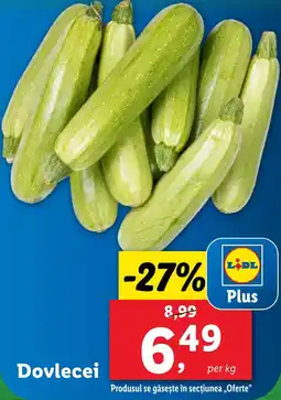 Lidl Dovlecei Ofertă