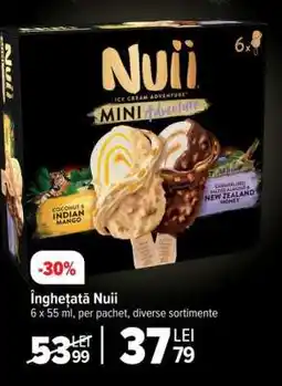 Carrefour Înghețată Nuii Ofertă