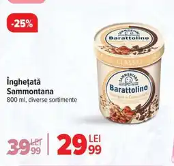 Carrefour Înghețată Sammontana Ofertă